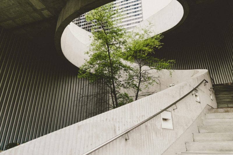 10 tendances RSE à suivre en 2026 - Photo de Alexander Abero sur Unsplash