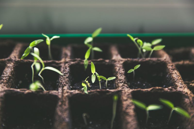 Jeune entreprise innovante à impact : des avantages fiscaux pour les entreprises sociales et solidaires engagées - Photo de Markus Spiske sur Unsplash